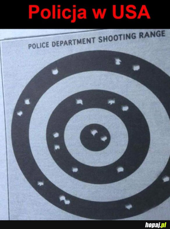 POLICJA W USA