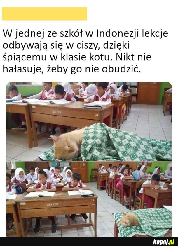Szkoła