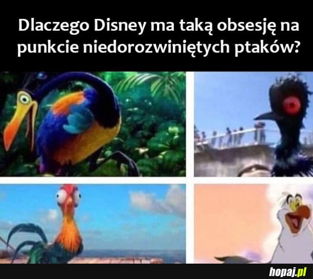 Disney 