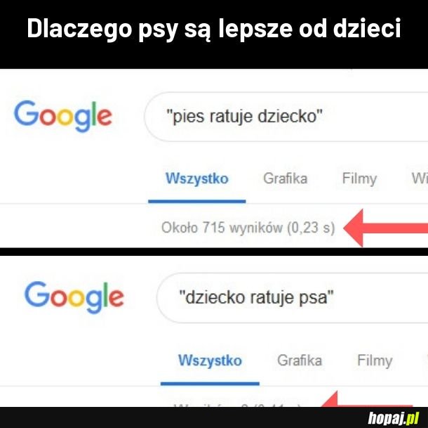 Pies kontra dziecko