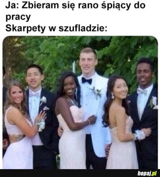 Mi tam wszystko jedno