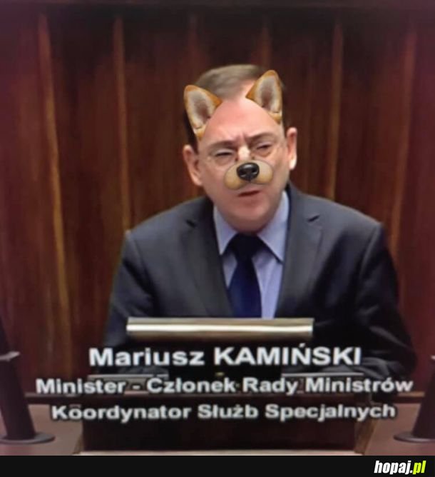Heheszki