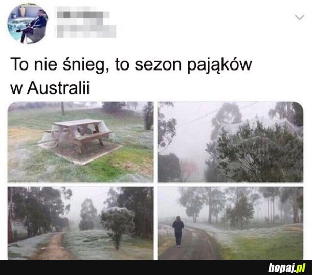 Straszne 