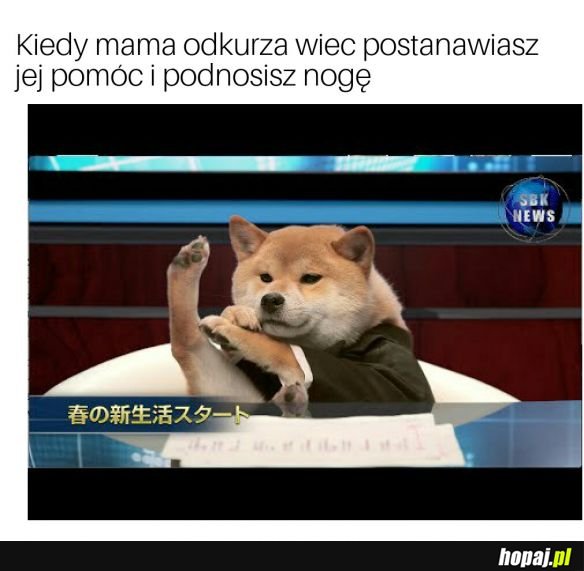 Pomoc domowa