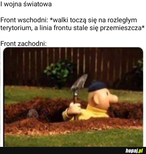 Stanął