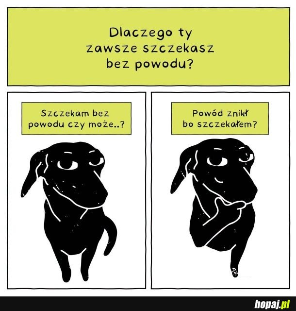 Pies