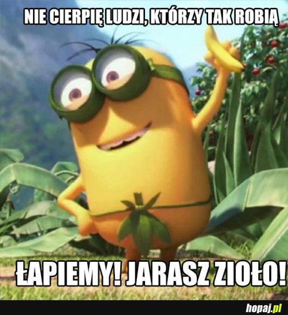 Wiemy rozumiemy...