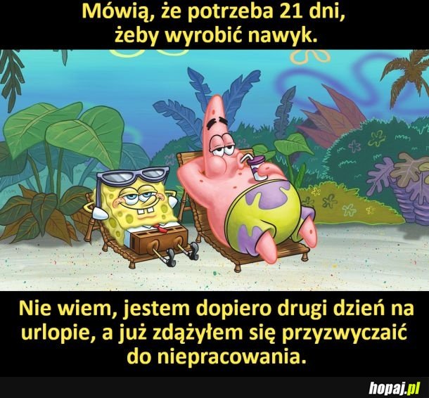 Szybko weszło w nawyk