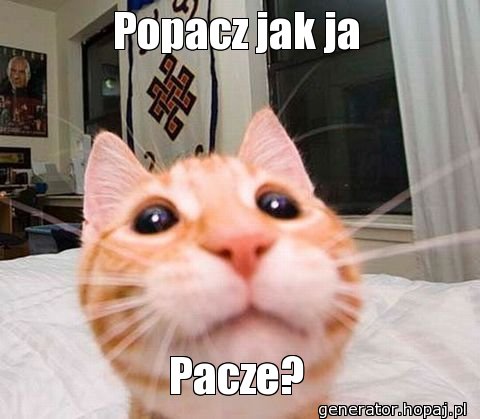 Popacz jak ja