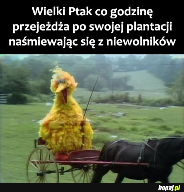 Wielki Ptak