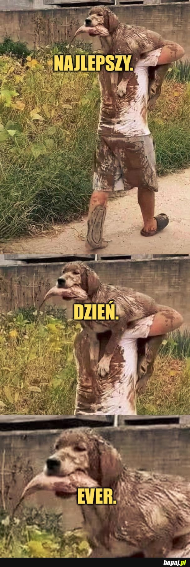 Najlepszy.