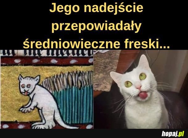 Freski