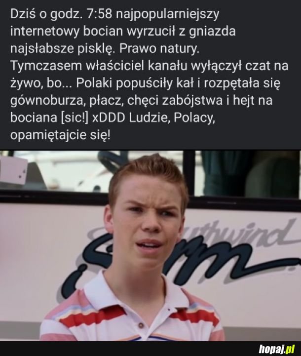 Polska mocno