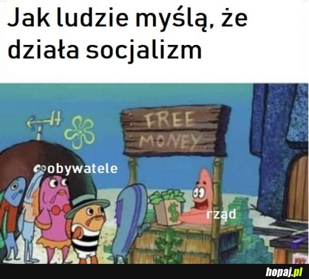 Socjalizm 