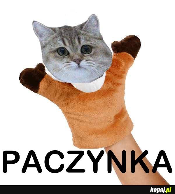 PACZYNKA