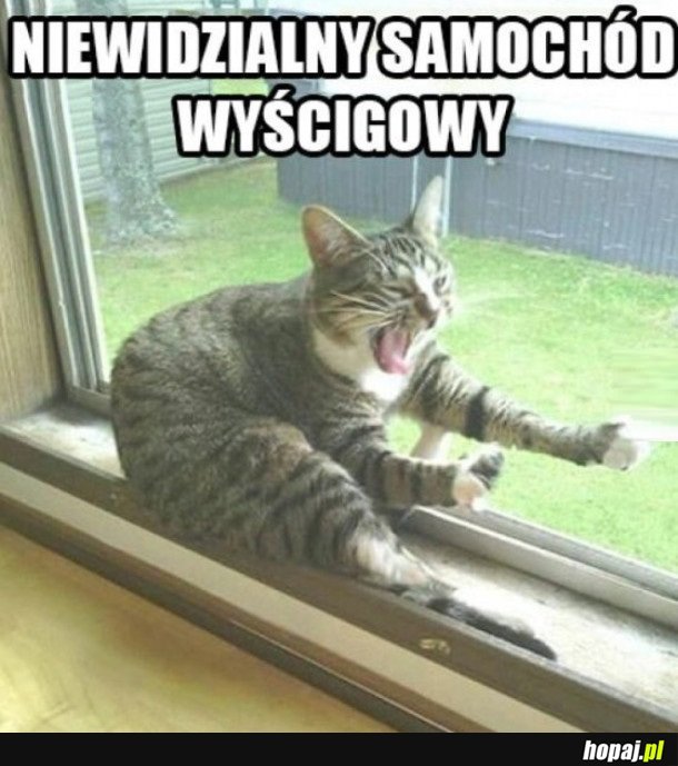 NIEWIDZIALNY SAMOCHÓD