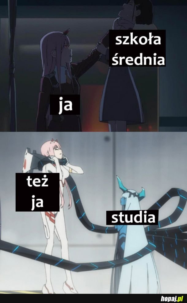 Ja vs szkoły 