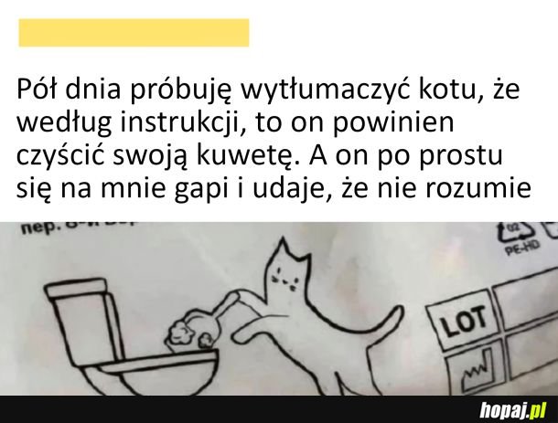 Czyszczenie kuwety