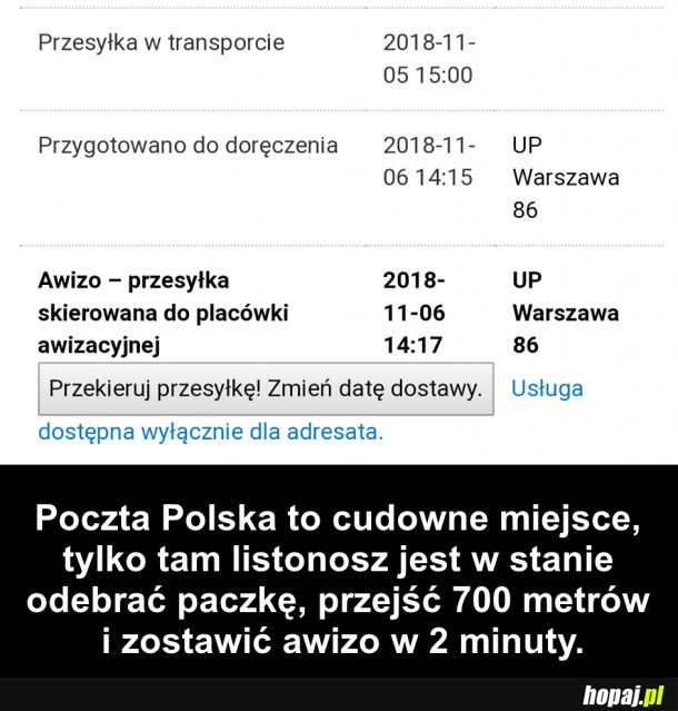 To się nazywa prędkość