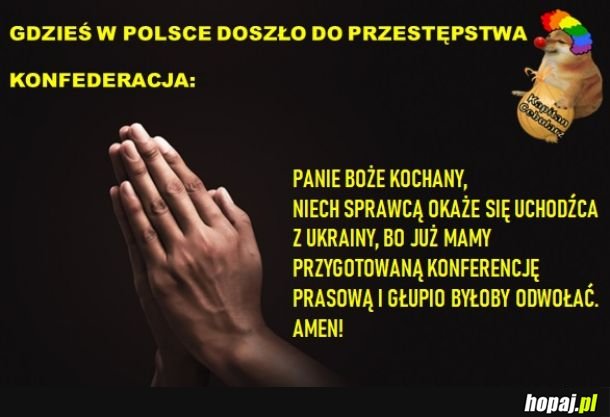 Krótka rozprawa o konferencjach prasowych