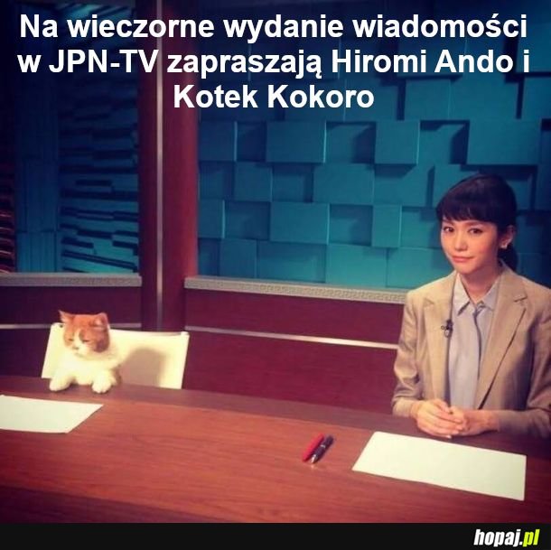 Zmyśliłam te imiona
