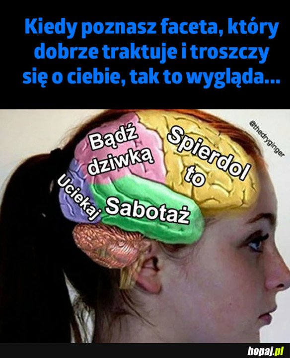 LASKI TAKIE SĄ