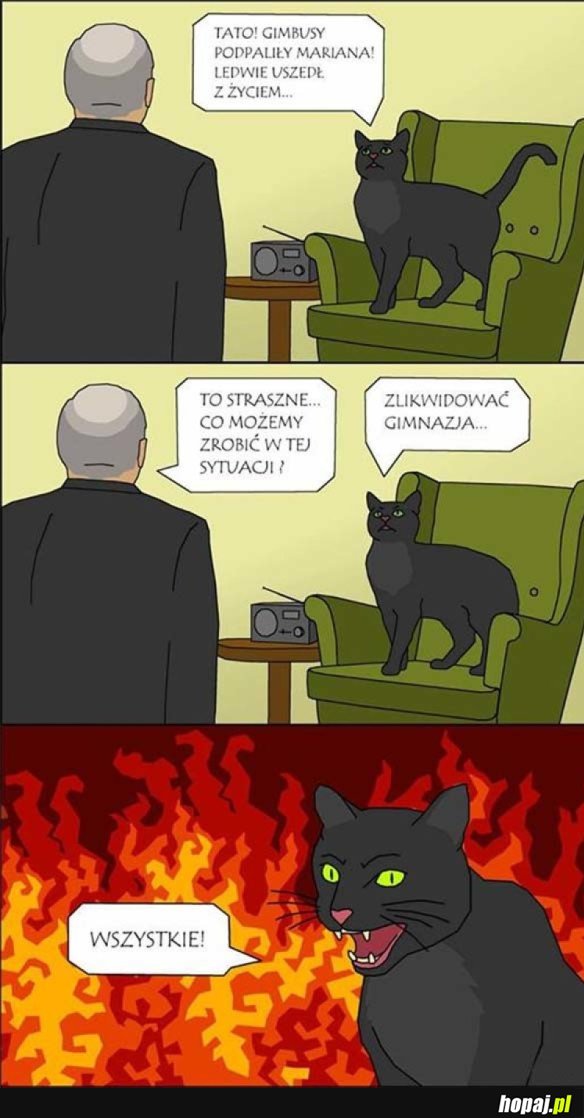 KOT JAROSŁAWA