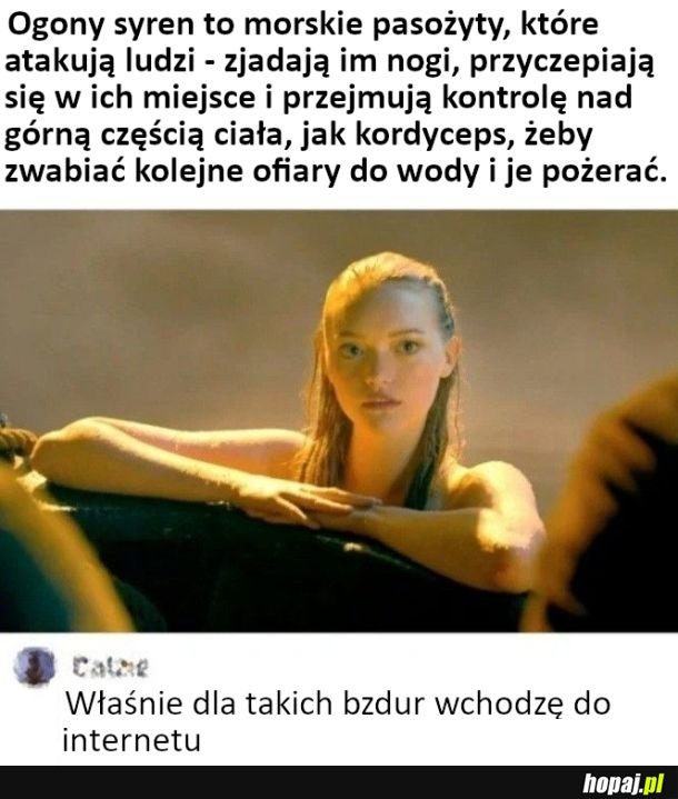Po to płacę za internet