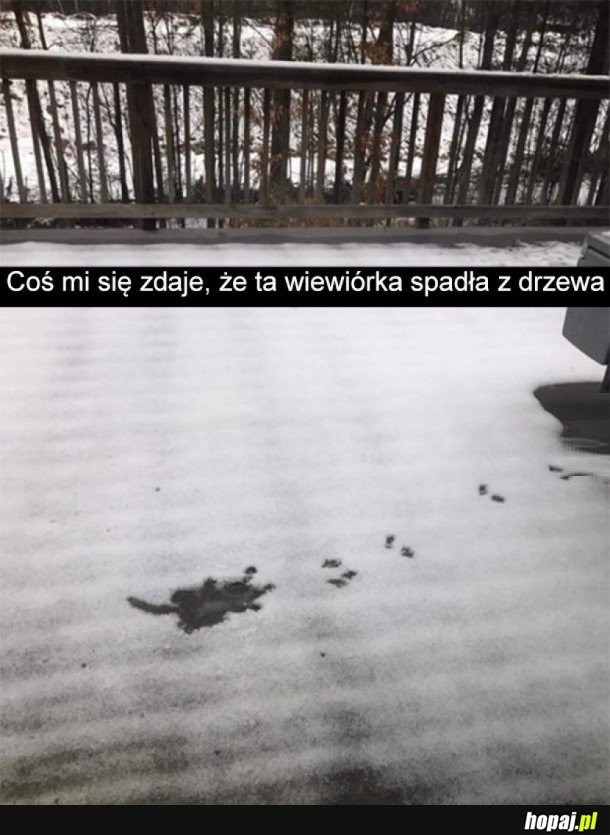 TAK TYLKO ZGADUJE