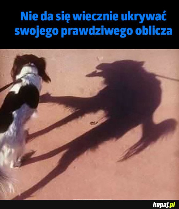 PRAWDZIWE OBLICZE