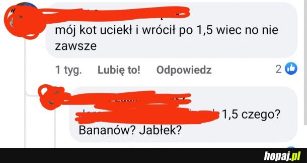 Odruch
