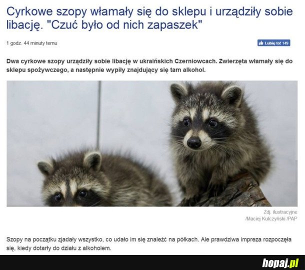 WAŻNY NEWS