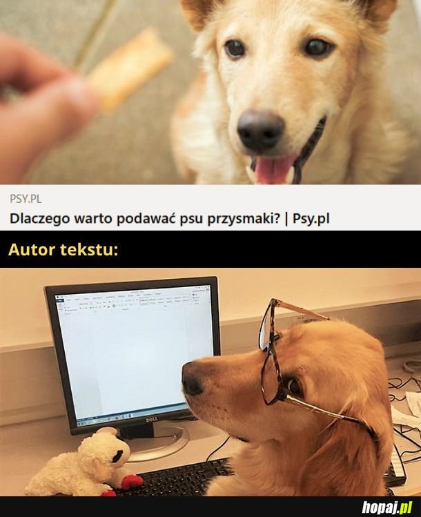 Tak dajemy sobą manipulować