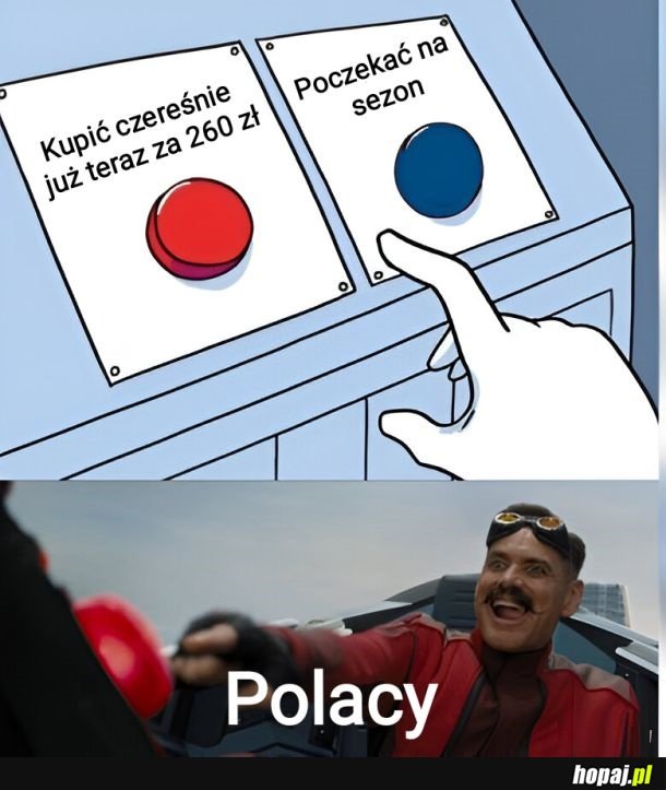 Zawsze to samo
