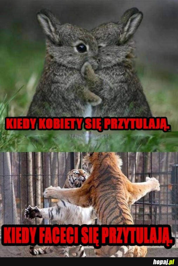 KOBIETY VS MĘŻCZYŹNI