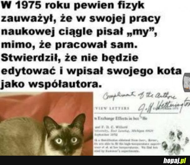 Współautor