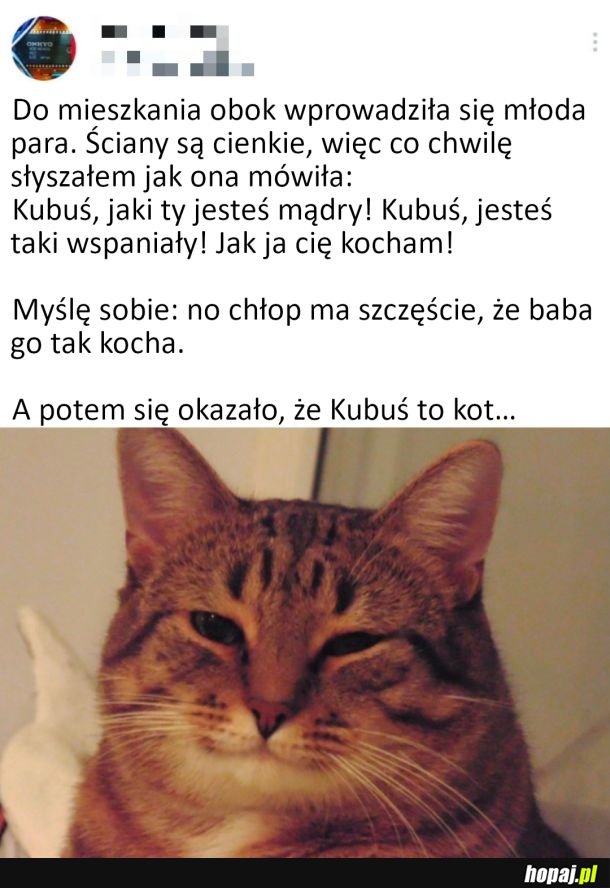 Farciarz...