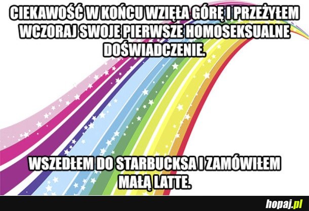 NO HOMO