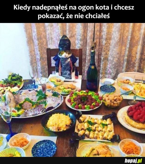 Kocham cię kotku