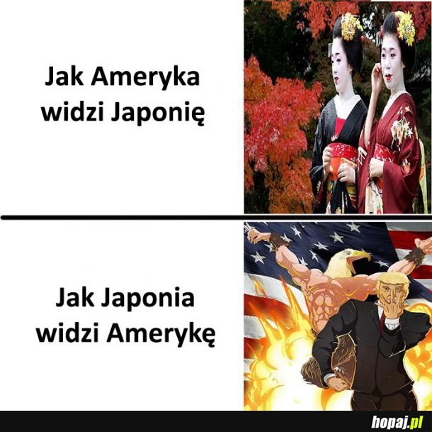 Jak się widzą