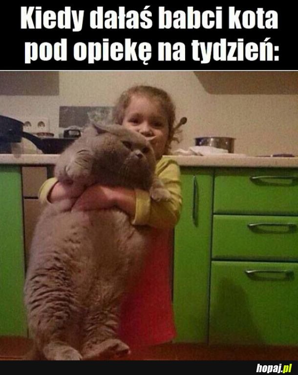 Typowa babcia