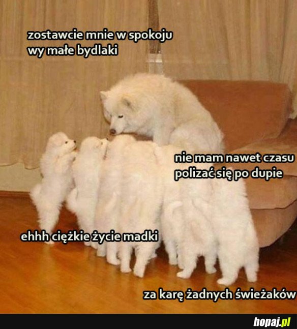 CIĘŻKIE ŻYCIE