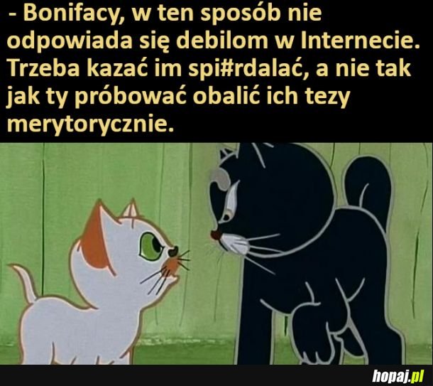 Jak rozmawiać z debilami z internetu