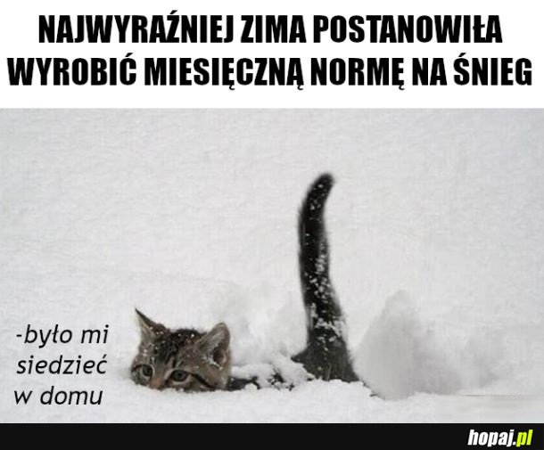 Ładnie nawaliło i nawali