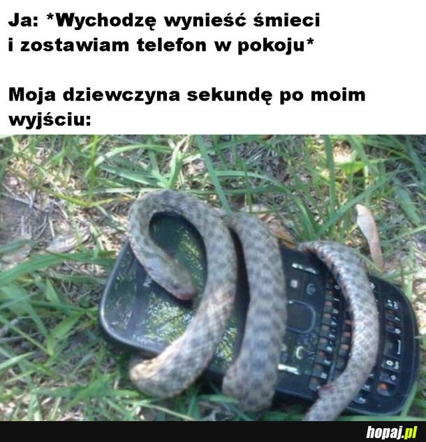 Już sprawdza
