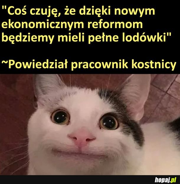 Pełne lodówki