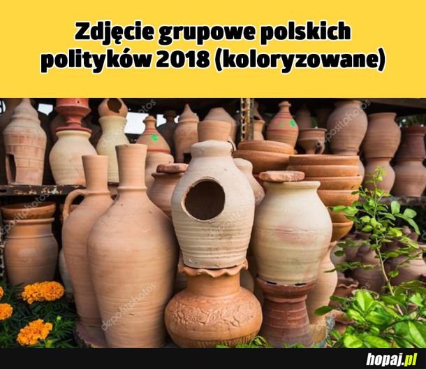 Piękne grupowe zdjęcie