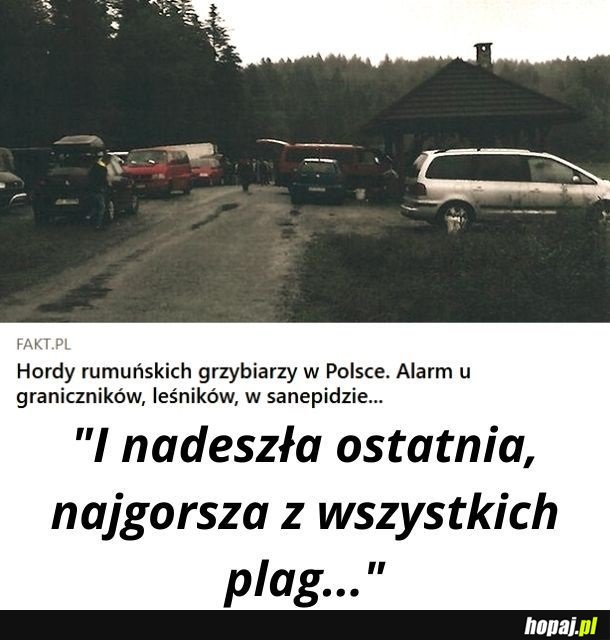 Najgorsza z plag