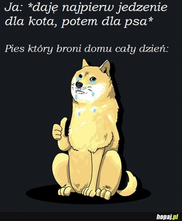 Biedny pieseł #2