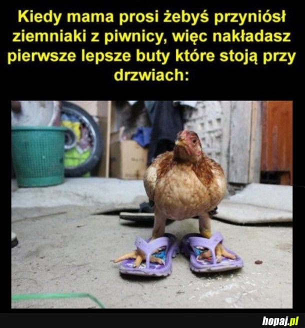 KAŻDY MA TAKIE BUTY